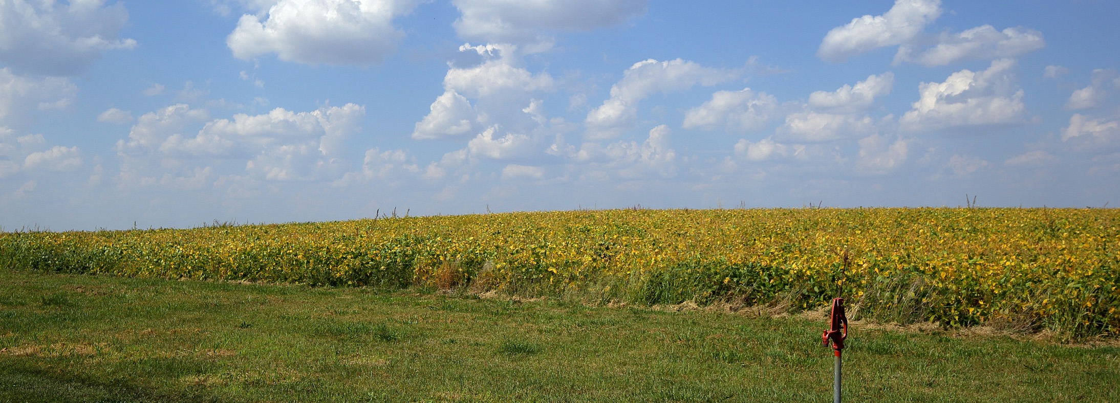 Salem, IL