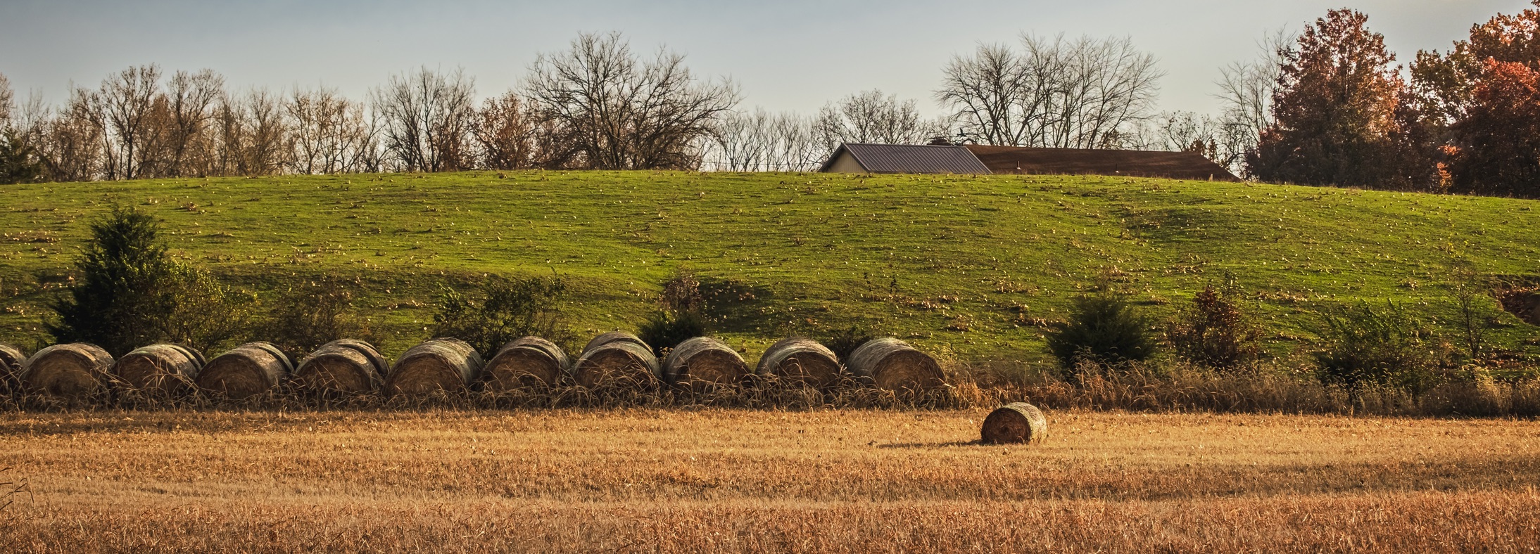 Benton, IL