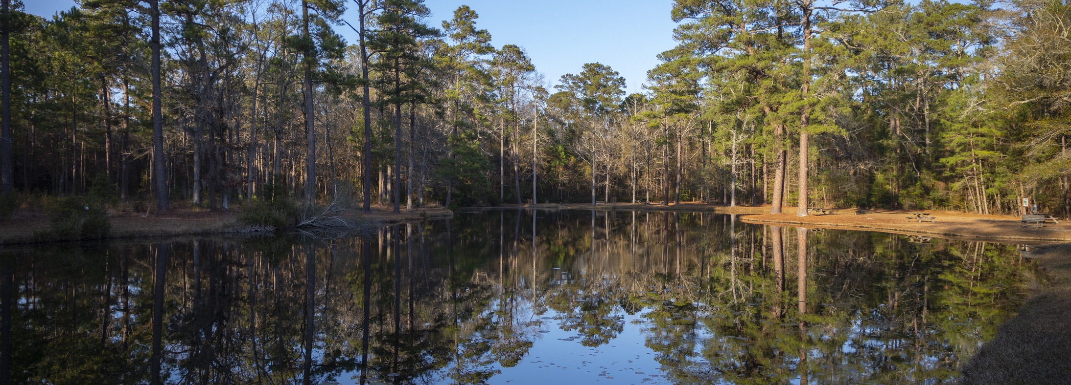 Darlington, SC