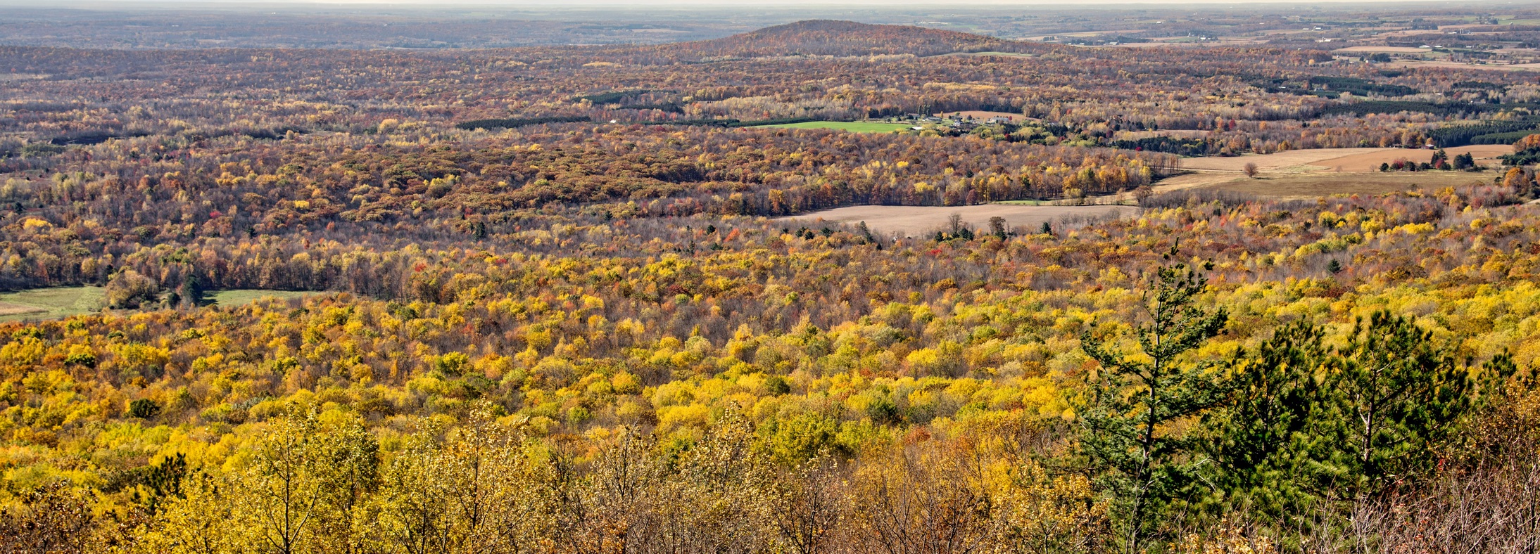Rib Mountain, WI