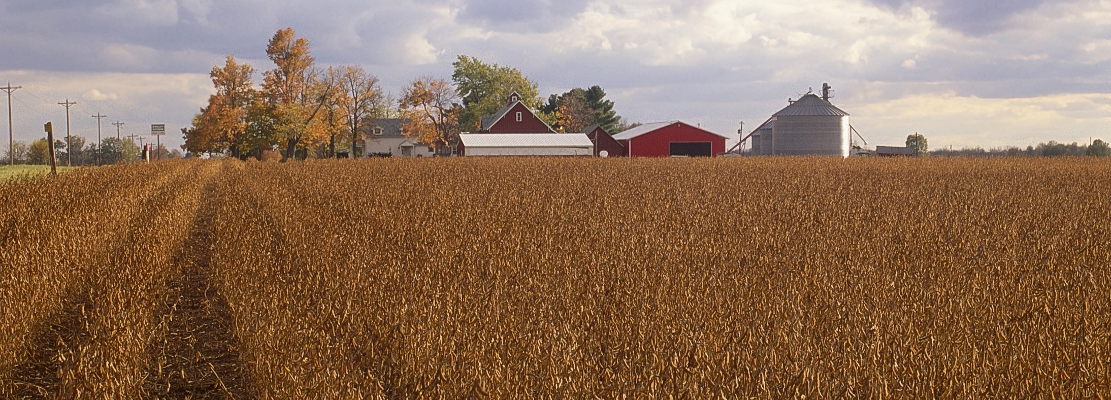 Monticello, IN