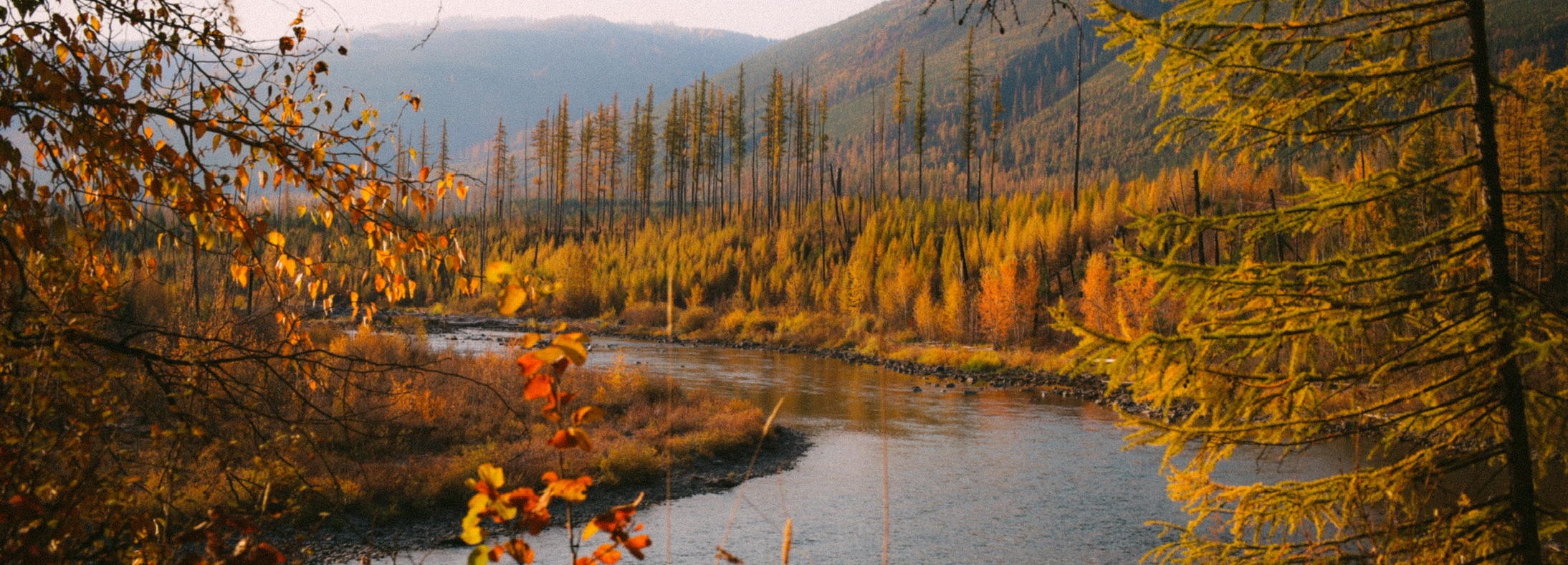 Columbia Falls, MT