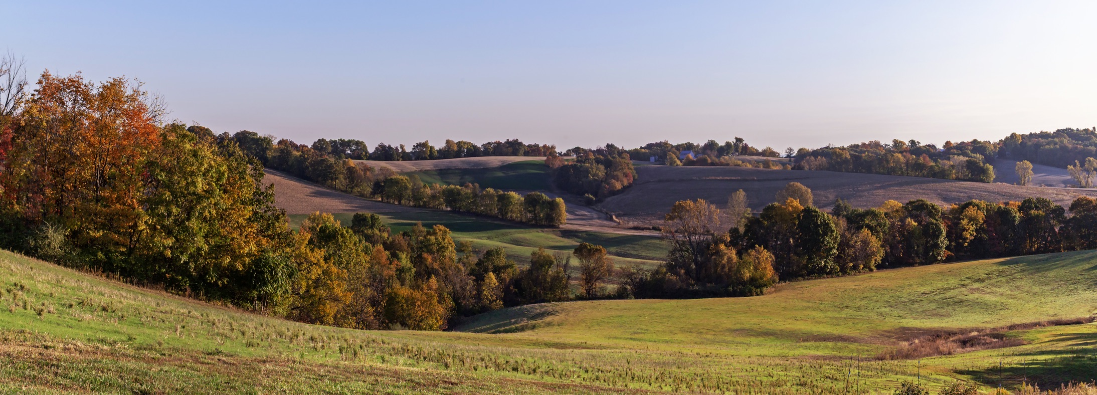 Staunton, IL