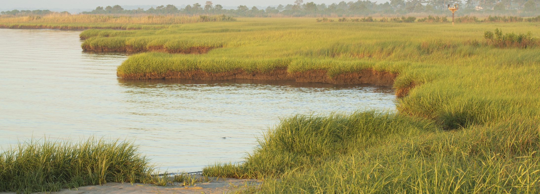 Millsboro, DE