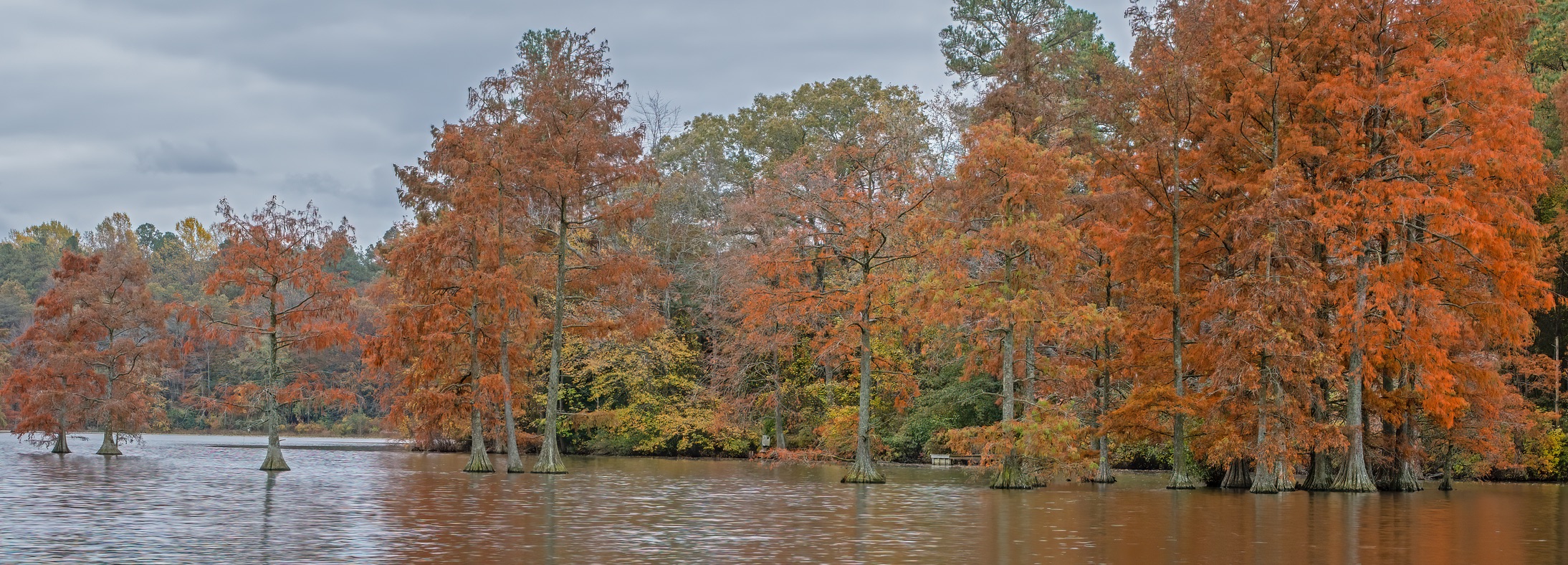 Laurel, DE