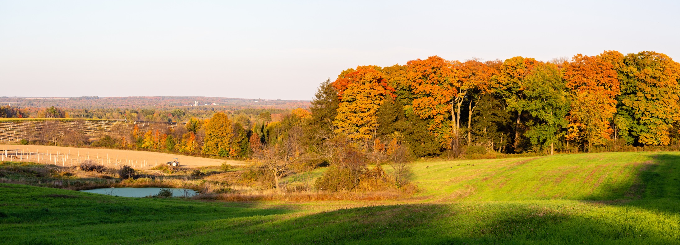 Mosinee, WI