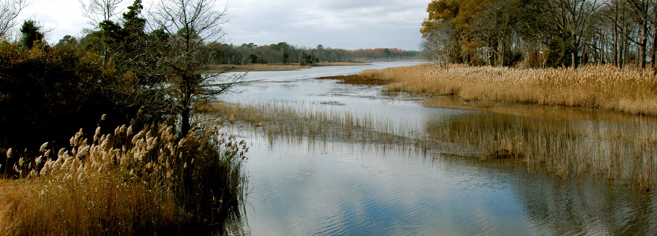Milton, DE