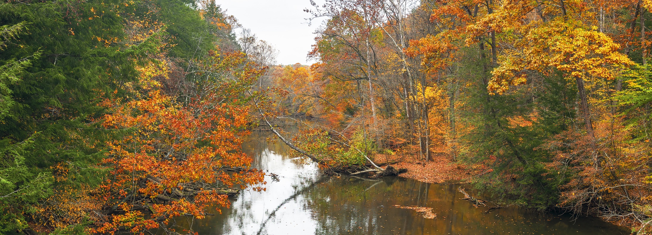 Loudonville, OH
