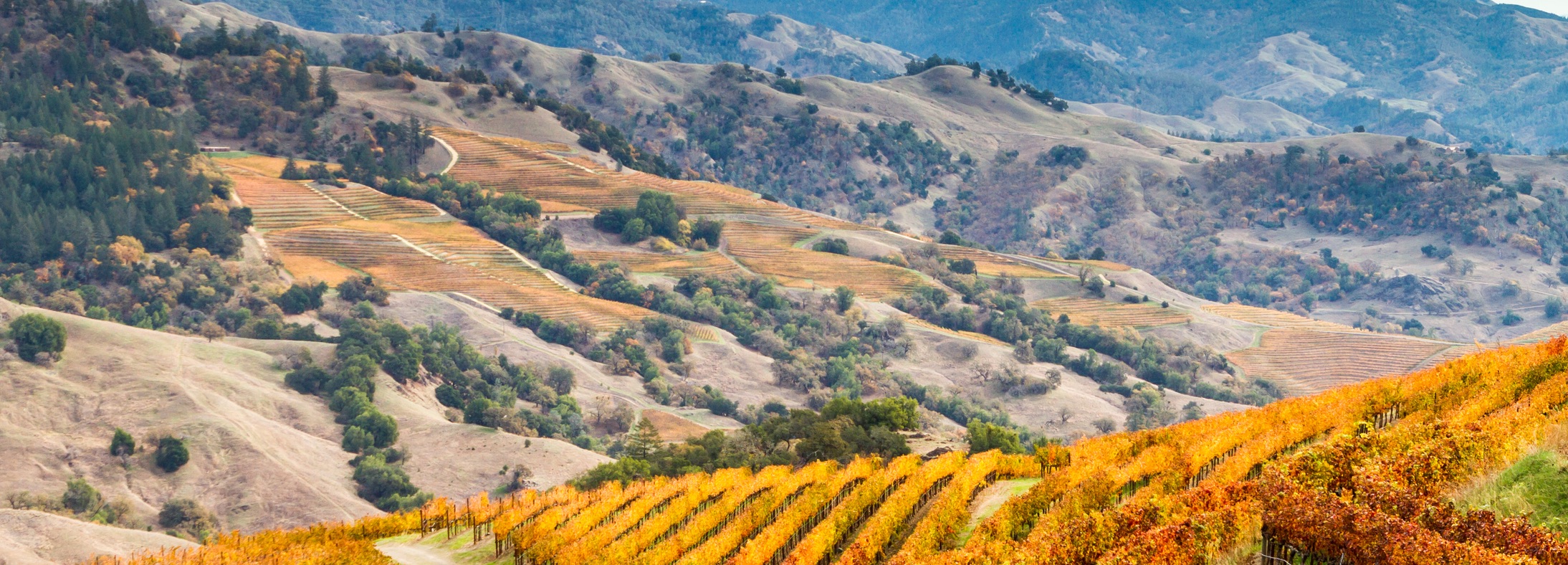 Sonoma County, CA