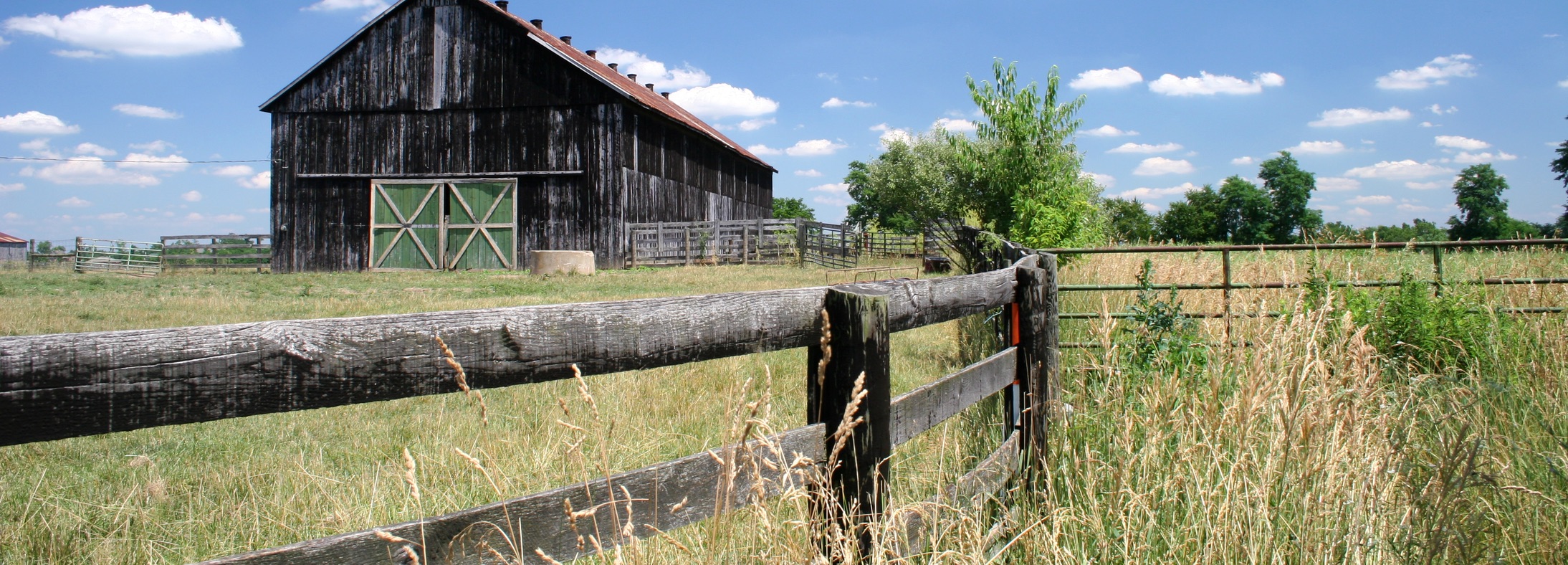 Wilson County, TN